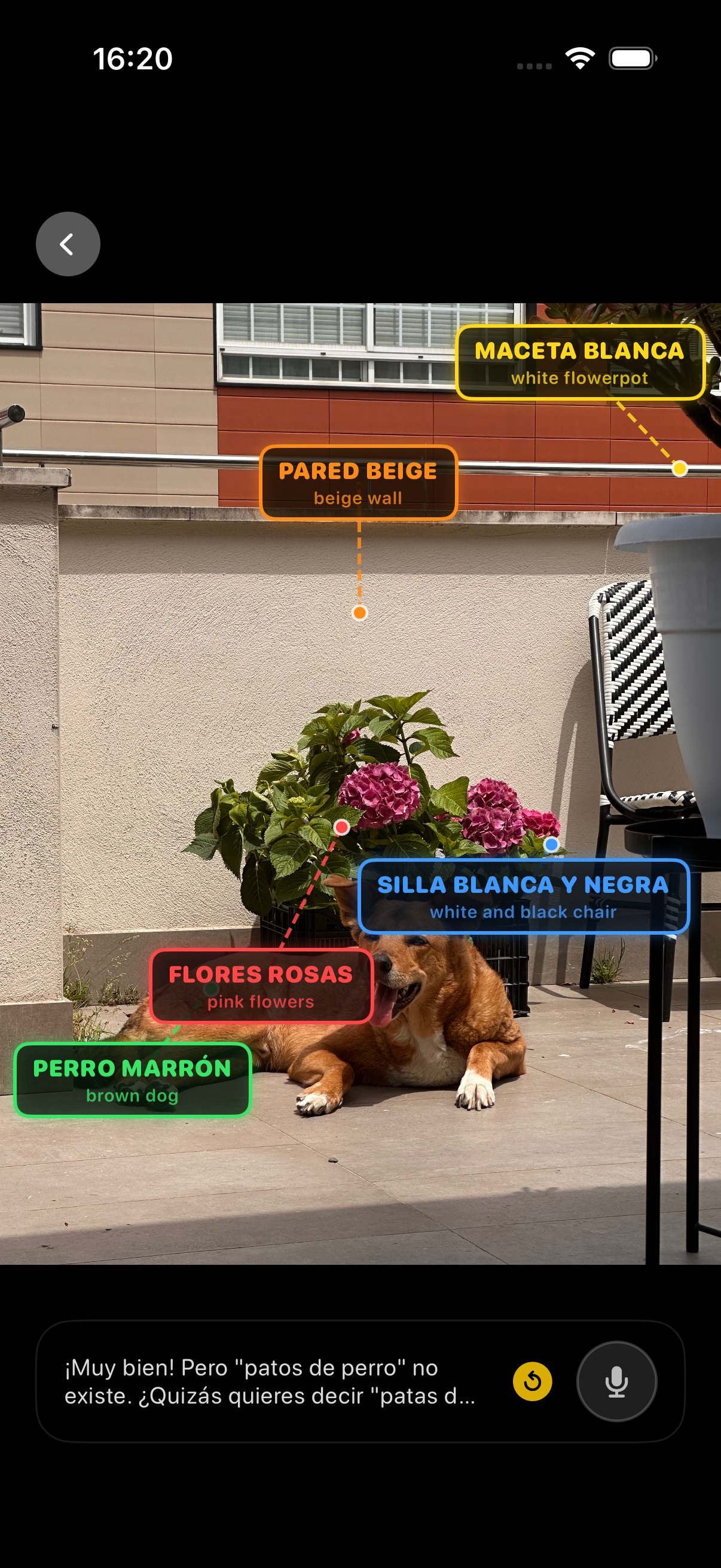Spanish labels overlaid on your photo